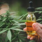 Top 20 “CBD Tincture” Keywords to Target for Link Building.