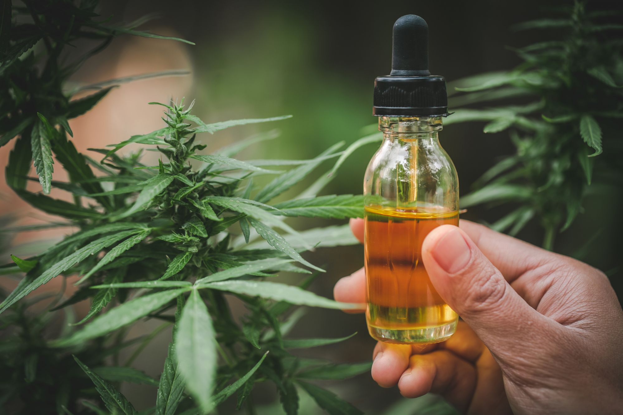 CBD Tincture SEO Featured Image