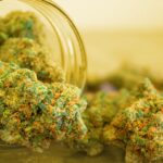 Top 20 “CBD Flower” Keywords To Target For Link Building.