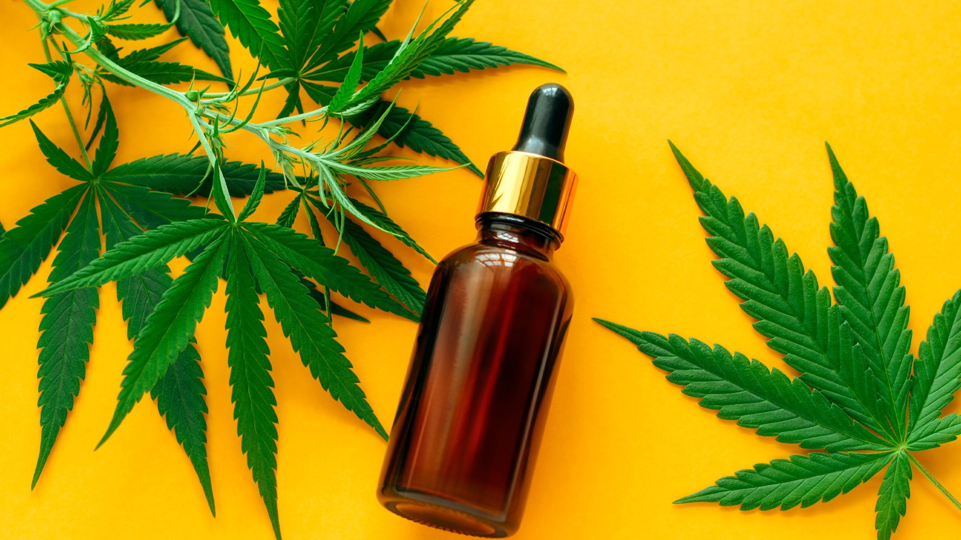 Spectrum CBD Oil Guide Featured Image