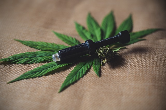 Delta-8 CBD’ Market Size, Share & Future Growth Trends