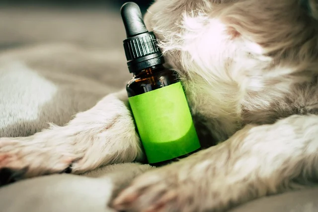 Top 20 “CBD Balm” Keywords To Target For Link Building