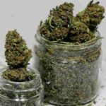 Top 20 “CBD hemp flower” Keywords To Target For Link Building