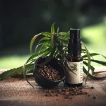 What Is CBD Salve? Insights & Keyword Strategy