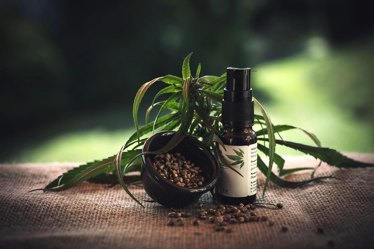 CBD Salve Keywords Featured Image