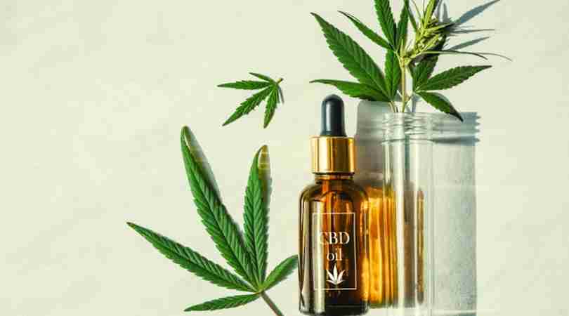 Top 20 “CBD Near Me” Keywords To Target For Link Building
