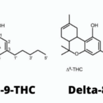 delta 8 vs delta 9