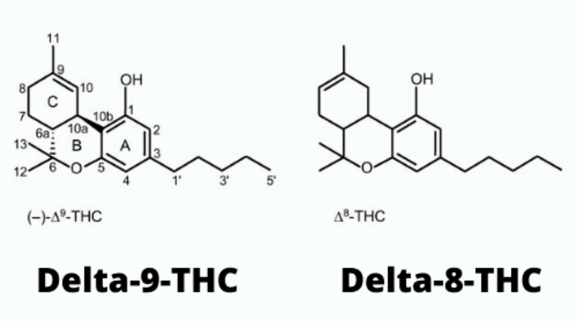 delta 8 vs delta 9