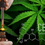 Difference Between High Quality And High Quantity Backlinks For Your Cannabis Website.