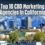 Top 10 CBD Marketing Agencies In California