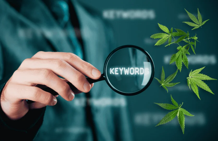 Cannabis keywords research - cbd marketing