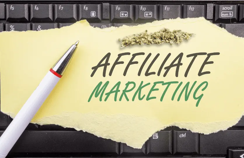 Delta 8 affiliate marketing - cbd marketing