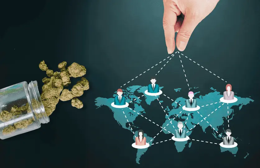 Delta8 Link Building - cbd marketing