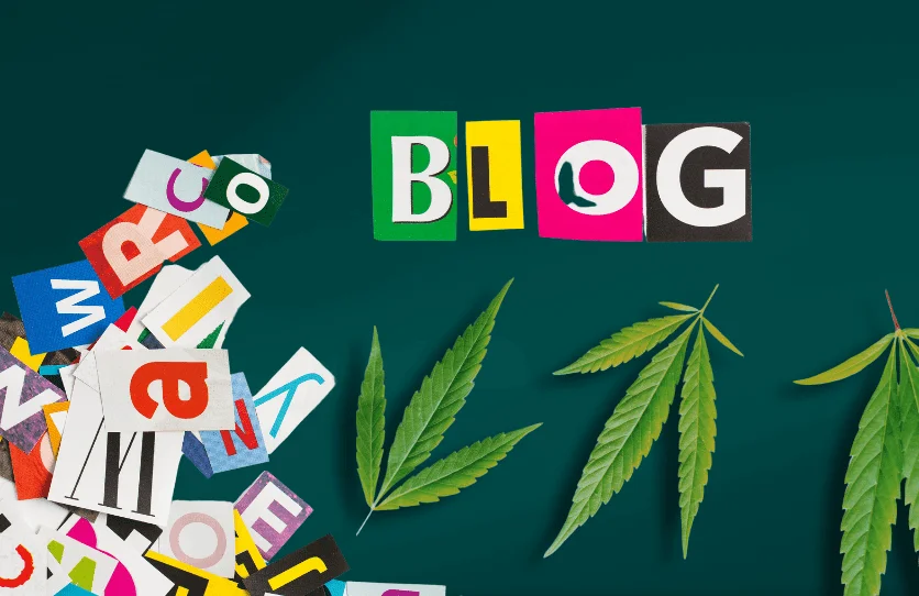 weed blog management - cbd marketing