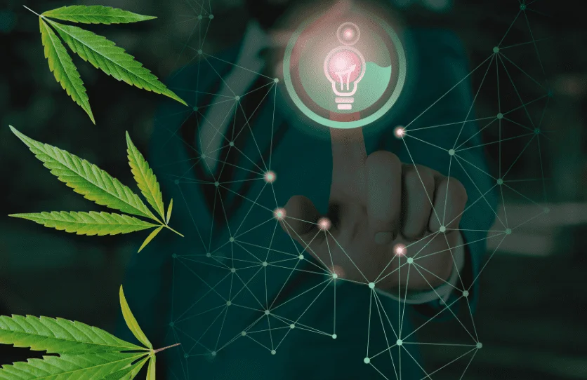 weed link building - cbd marketing