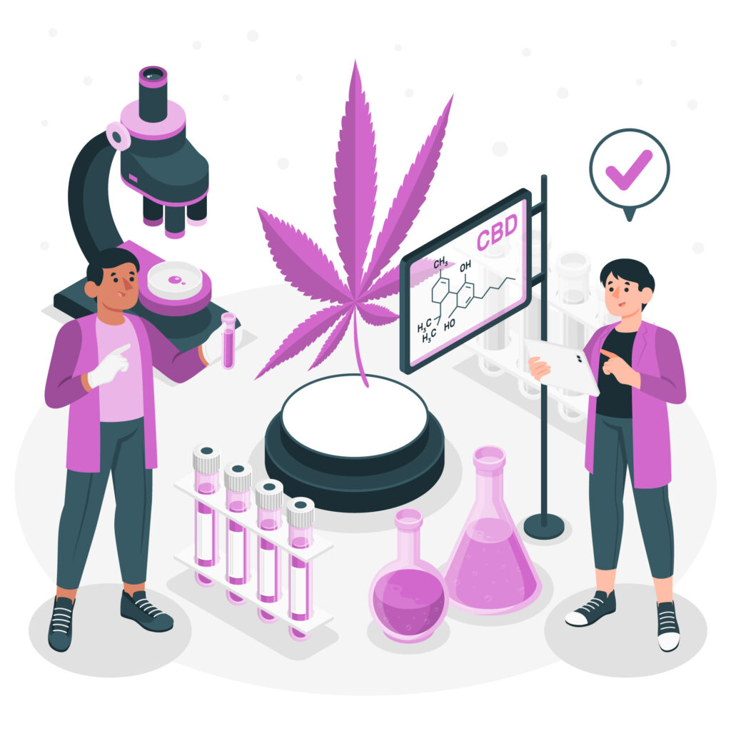 cannabis marketing research
