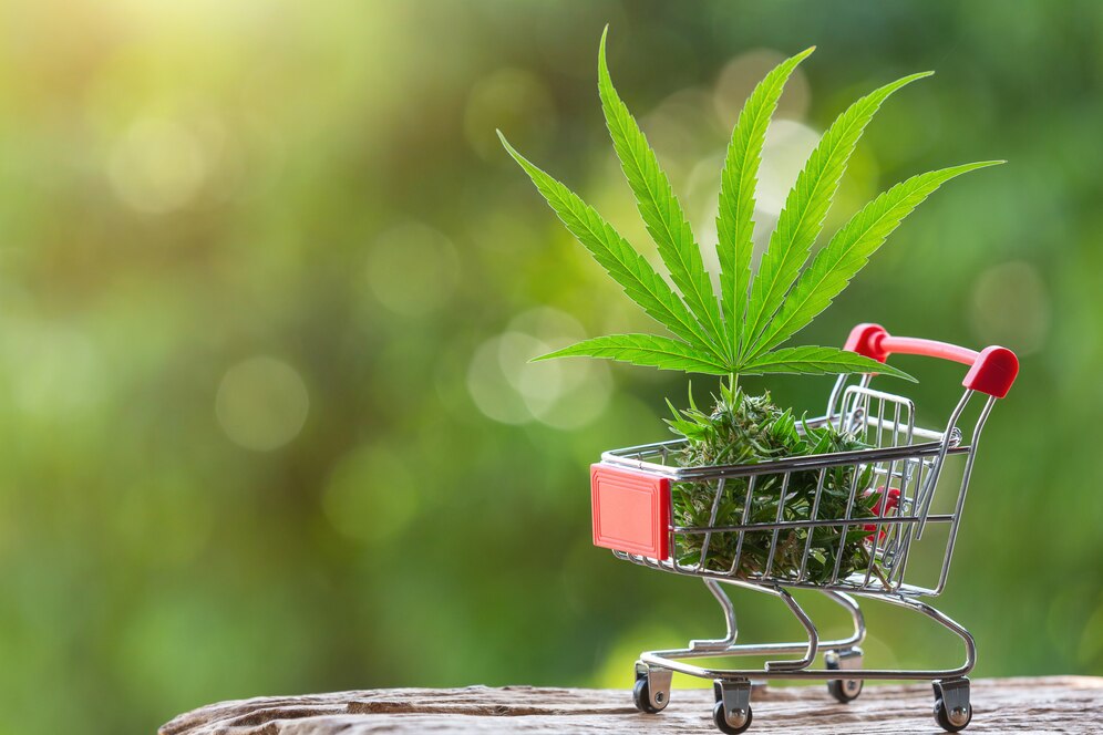 Top Cannabis Marketing Strategies To Rank No.1 On Google