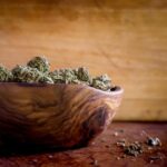 Cannabis Dispensary Local SEO Guide: Here’s How To Rank #1