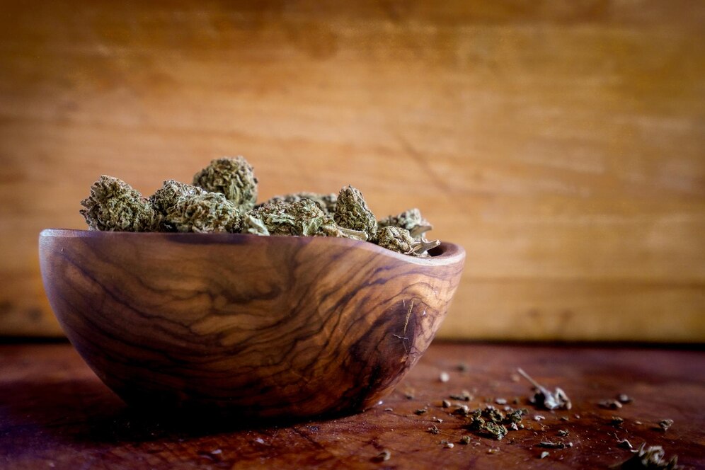 Cannabis Dispensary Local SEO Guide: Here’s How To Rank #1