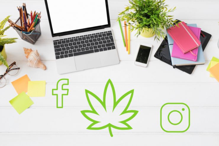 Cannabis Social Media Management