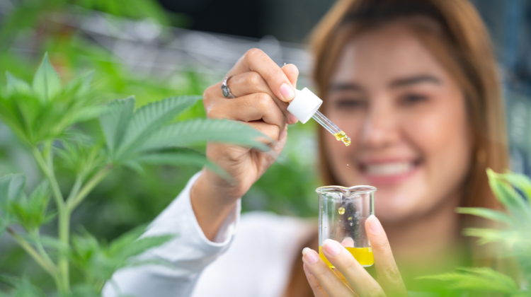 Why Should You Hire A CBD Affiliate Marketing Agency